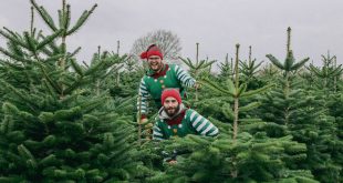 HB Employees with Christmas Trees 2