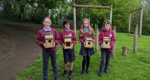 Llantilio Pertholey School pupils make 60 Bird Boxes with a little help from Robert Price 1 1